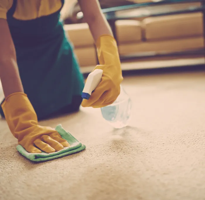 Daily-Carpet-Care Carpet care | Derailed Commodity Flooring & Furniture