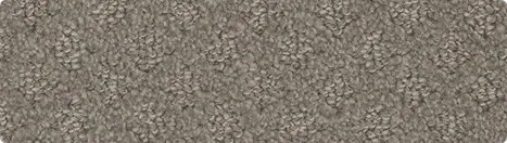 imgi_11_carpet